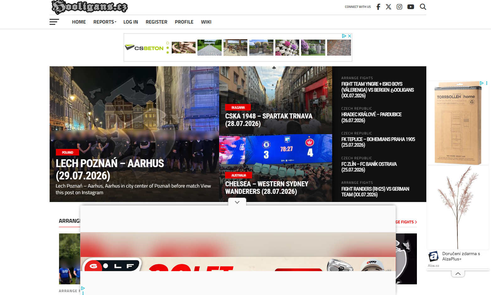 Web with ads